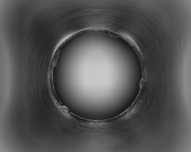 X0000086800952200704130857
