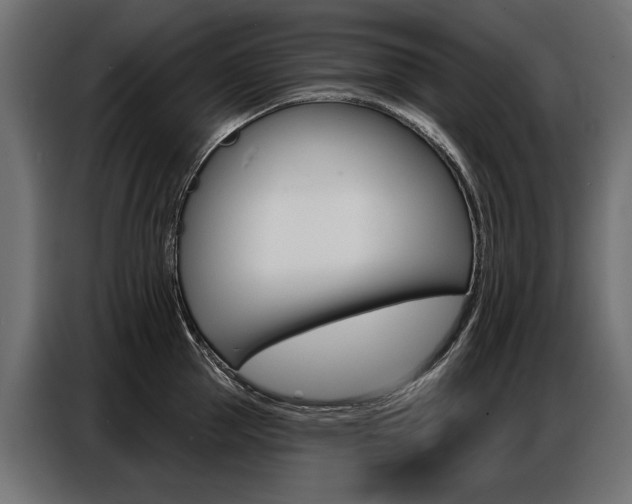 X0000086800953200704130857
