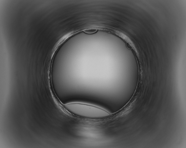 X0000086800954200704130857