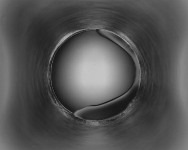 X0000086800956200704130858