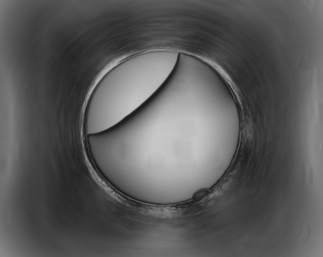 X0000086800957200704130858