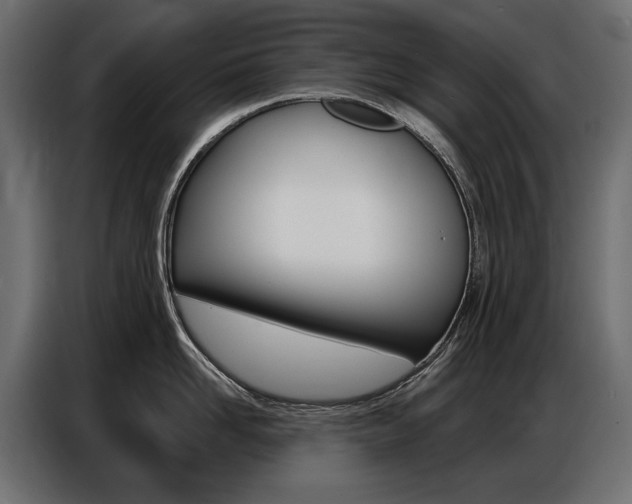 X0000086800958200704130858