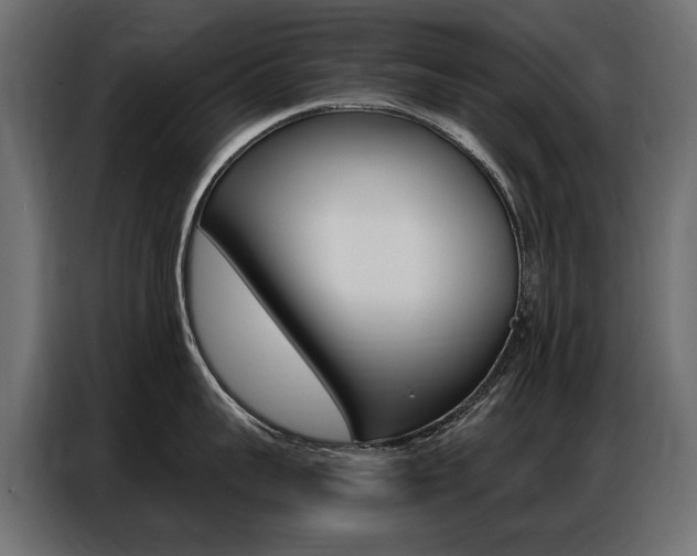 X0000086800959200704130858