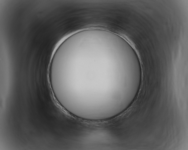 X0000086800960200704130858