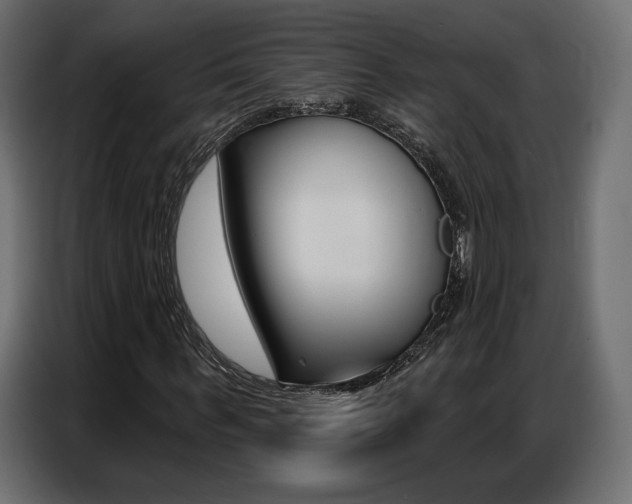 X0000086800963200704130857