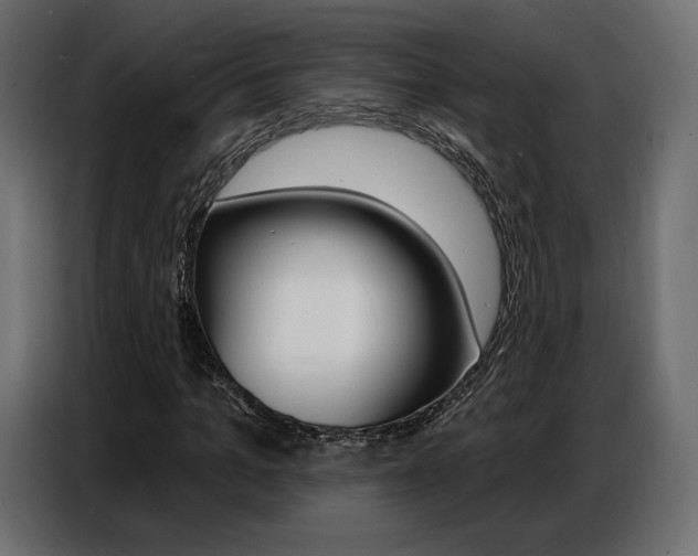 X0000086800965200704130857