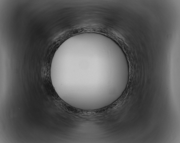 X0000086800966200704130857