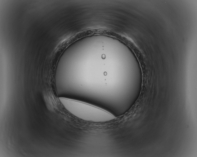 X0000086800967200704130857