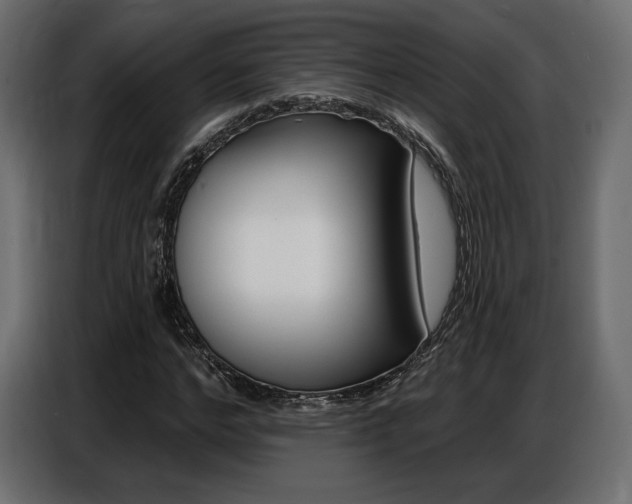 X0000086800968200704130857