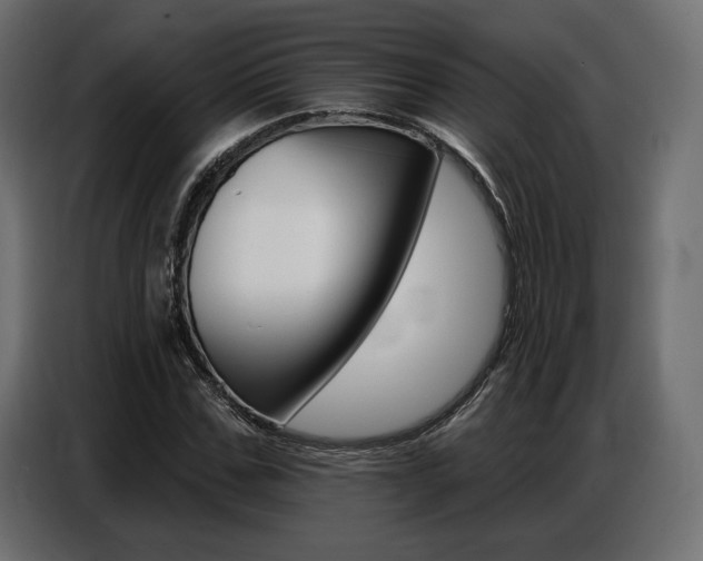 X0000086800971200704130857