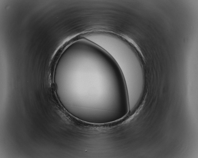 X0000086800973200704130857