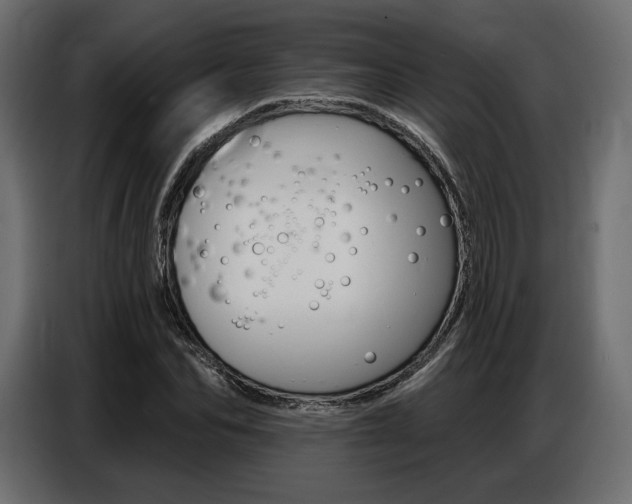 X0000086800974200704130857