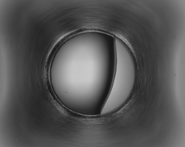 X0000086800976200704130857