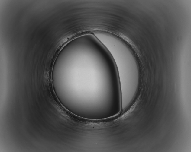 X0000086800977200704130857