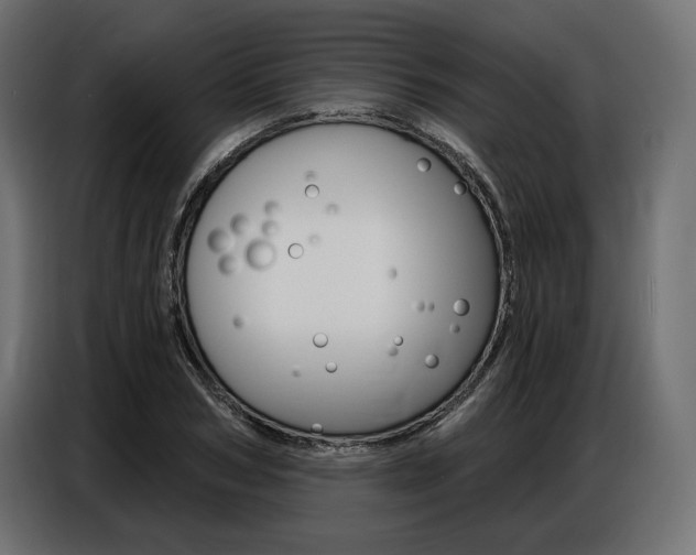 X0000086800978200704130857