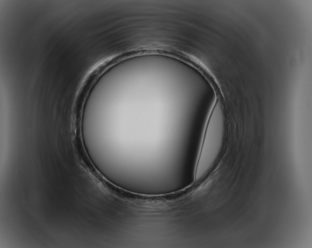 X0000086800979200704130857