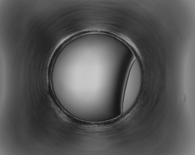 X0000086800980200704130857