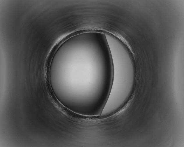 X0000086800981200704130857