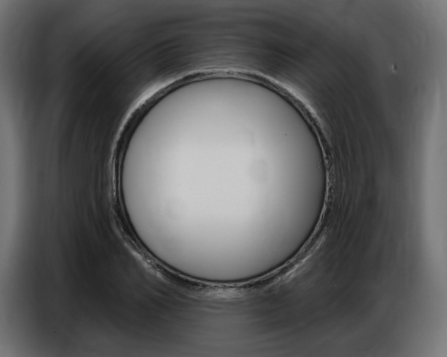 X0000086800982200704130857