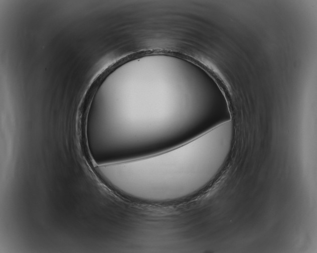 X0000086800983200704130857