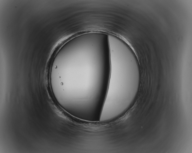 X0000086800987200704130857