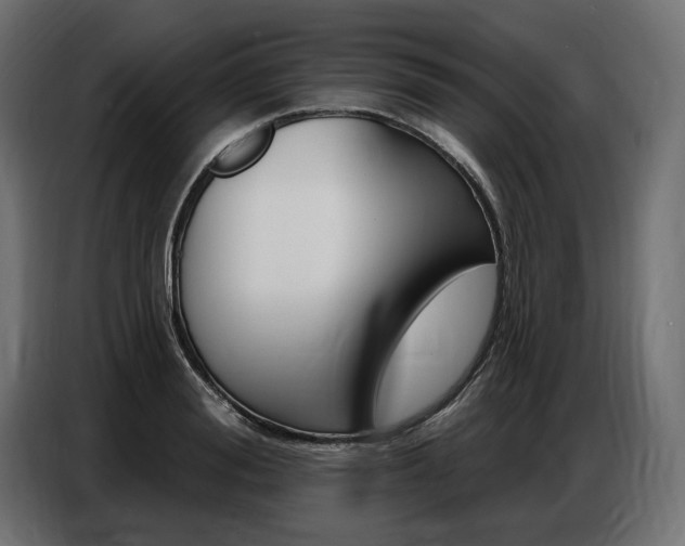 X0000086800988200704130857