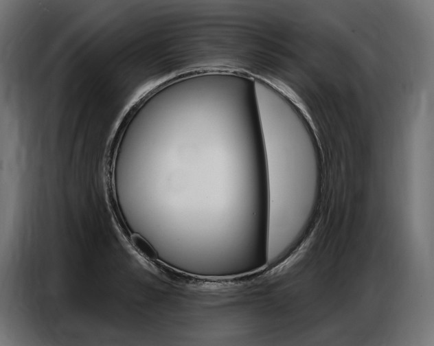 X0000086800989200704130856