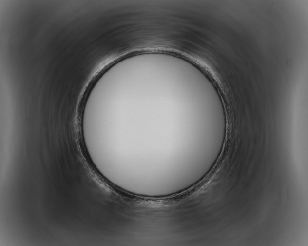 X0000086800990200704130856