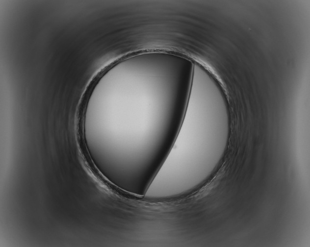 X0000086800991200704130856