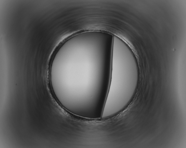X0000086800992200704130856