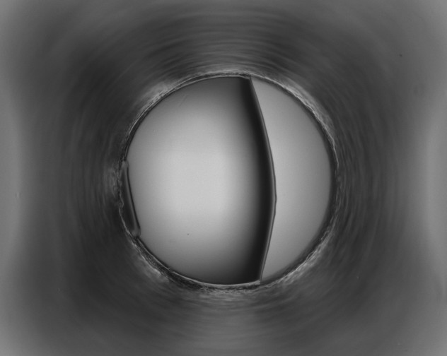 X0000086800993200704130856