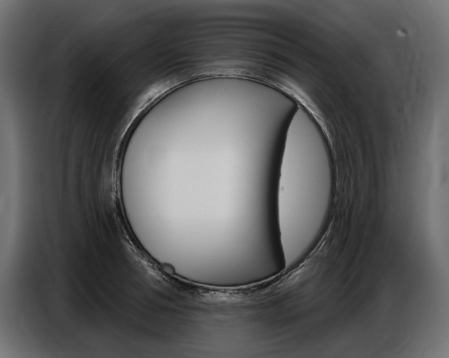 X0000086800994200704130856