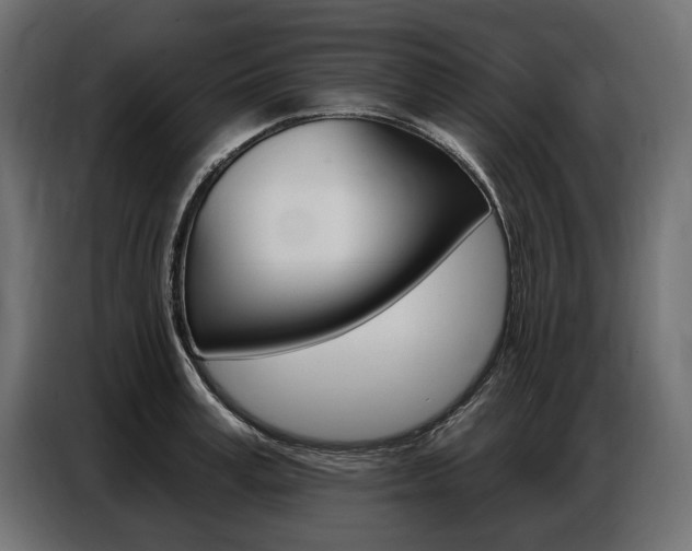 X0000086800995200704130856