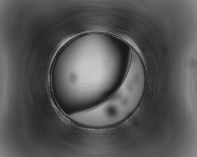 X0000086800996200704130856