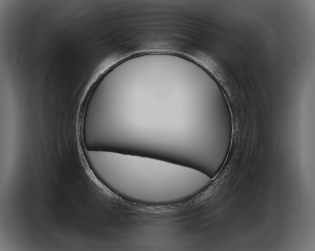X0000086800998200704130856