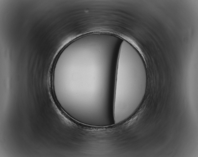 X0000086800999200704130856