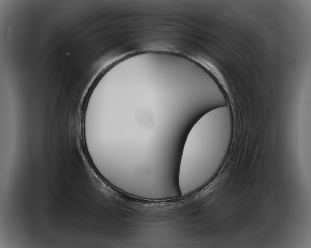 X0000086801000200704130856
