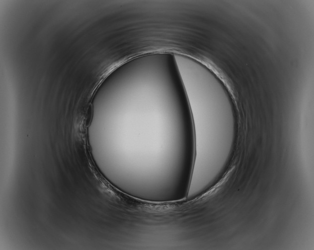 X0000086801001200704130856