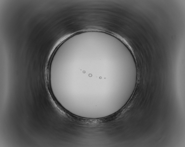 X0000086801003200704130856