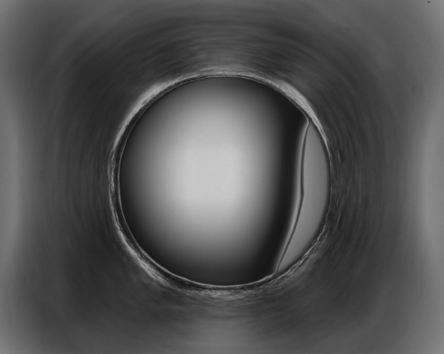 X0000086801005200704130856