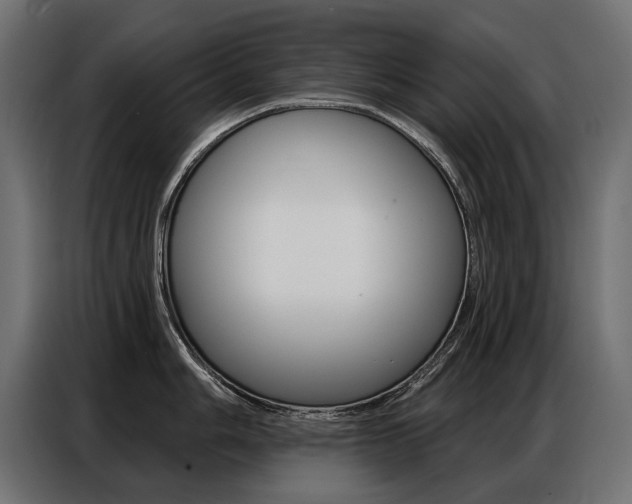 X0000086801006200704130856