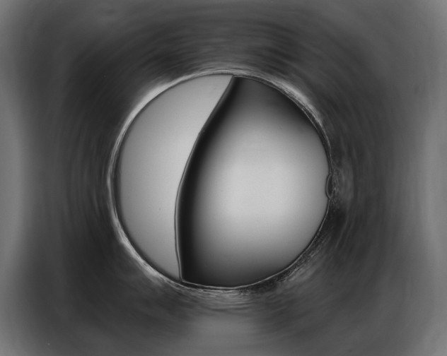 X0000086801007200704130856
