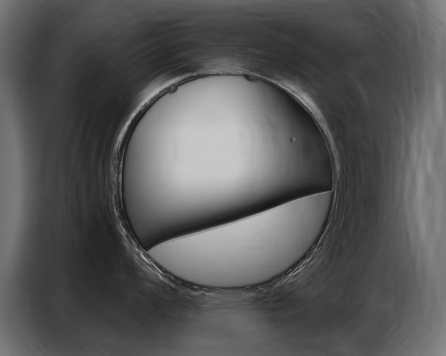 X0000086801008200704130856