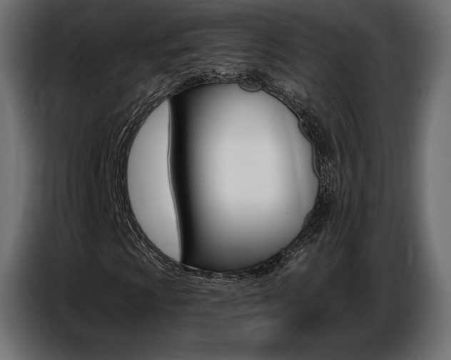 X0000086801009200704130856
