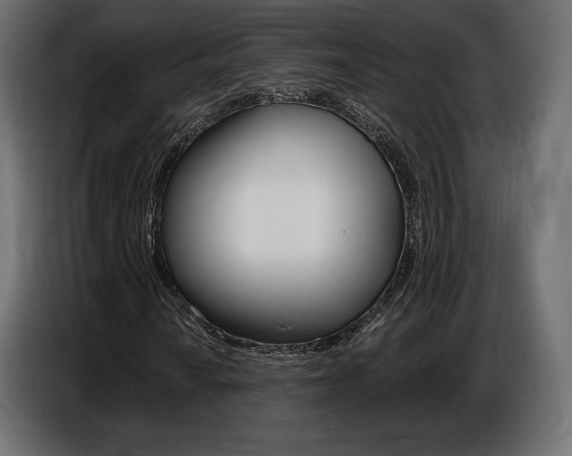 X0000086801010200704130856