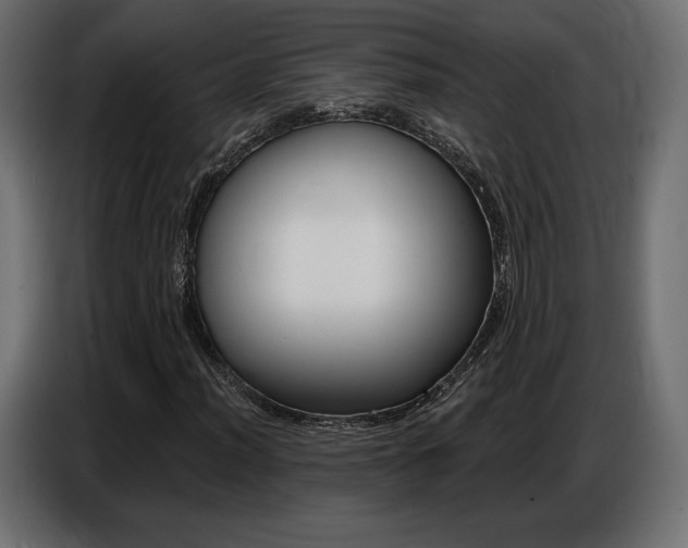 X0000086801012200704130856
