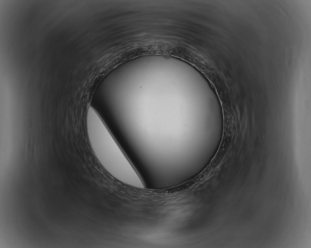 X0000086801013200704130856