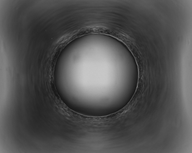 X0000086801014200704130856