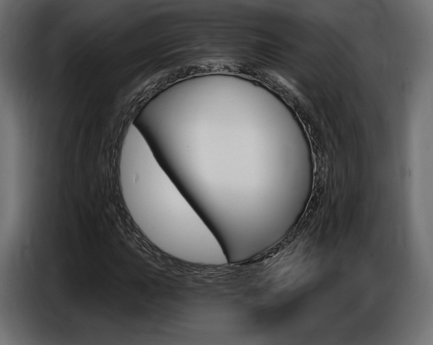 X0000086801015200704130856