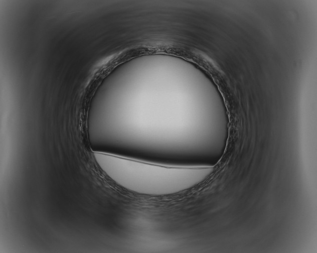 X0000086801016200704130856